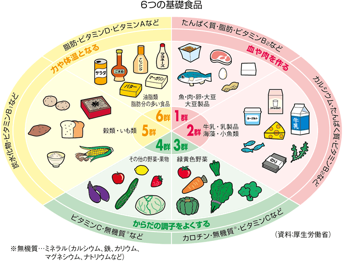 6類の栄養分類